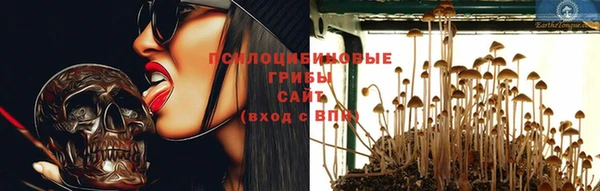 СК Аркадак