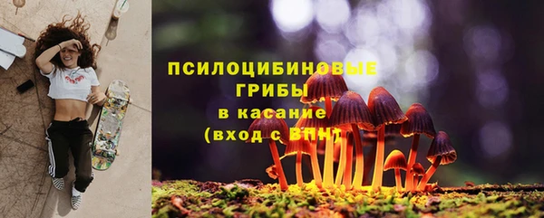 СК Аркадак
