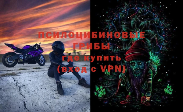 амф Арсеньев