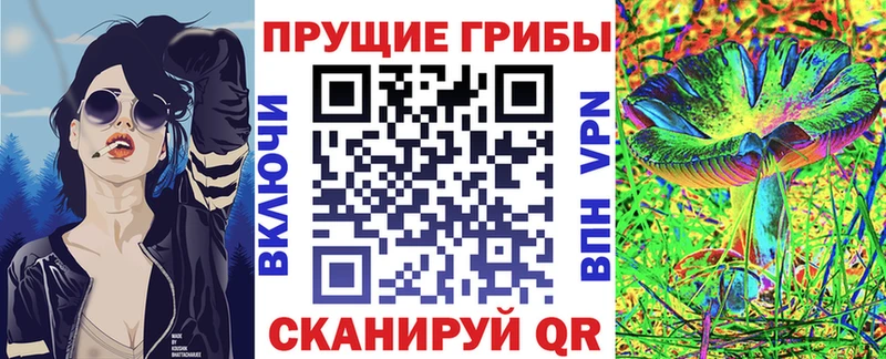 shop какой сайт  Новомичуринск  Галлюциногенные грибы Cubensis 