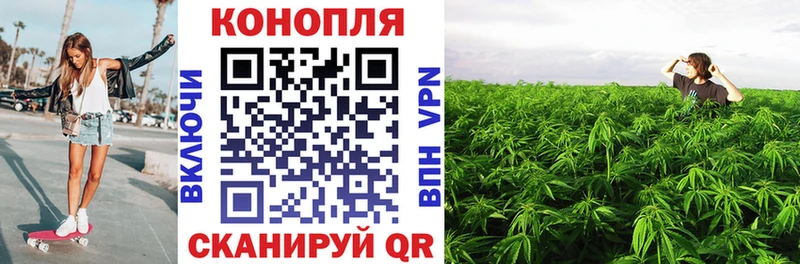 продажа наркотиков  Новомичуринск  darknet какой сайт  Бошки Шишки Bruce Banner 